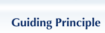Guiding Principle